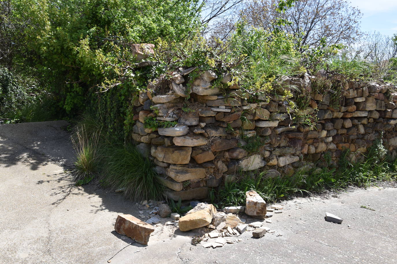 El estado de ruina de numerosos edificios en el casco urbano de Navajún es uno de los principales problemas del municipio. Las lluvias de esta primavera han empeorado la situación de varias viviendas y se han producido derrumbes en diversas calles del pueblo.