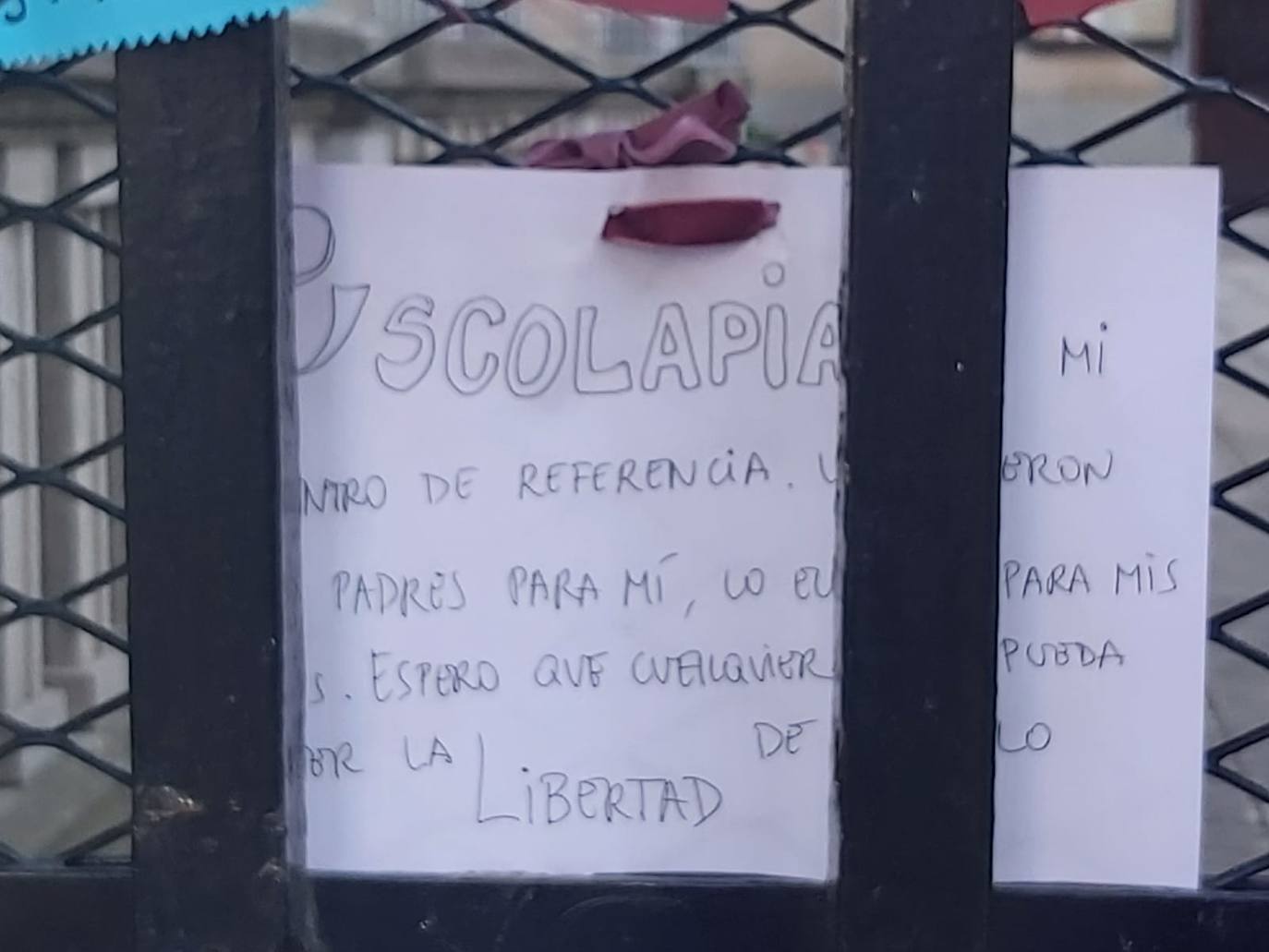 Padres de alumnos, exalumnos del colegio y defensores de la educación concertada y «de la elección de colegio» llenan la puerta del centro logroñés con escritos y dibujos