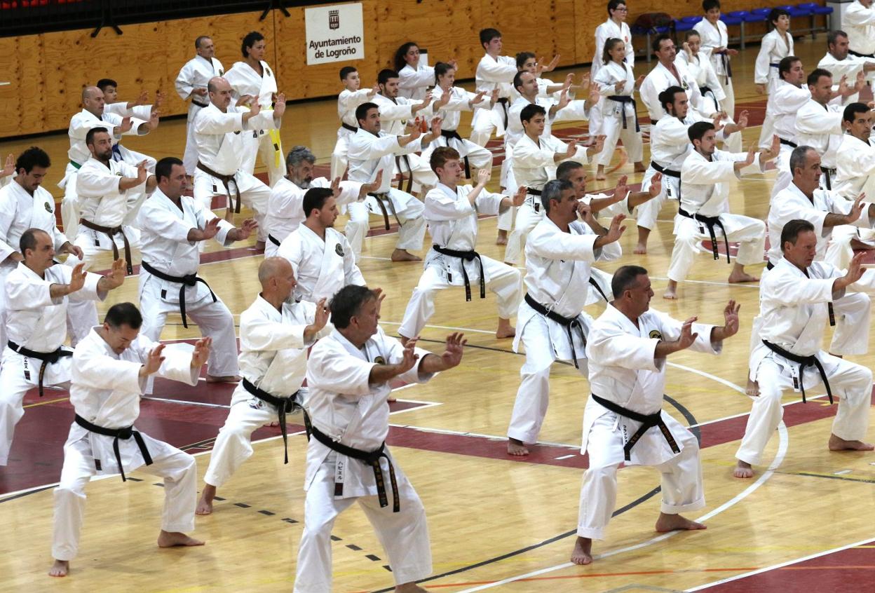 Seminario Internacional de karate celebrado en Logroño. 