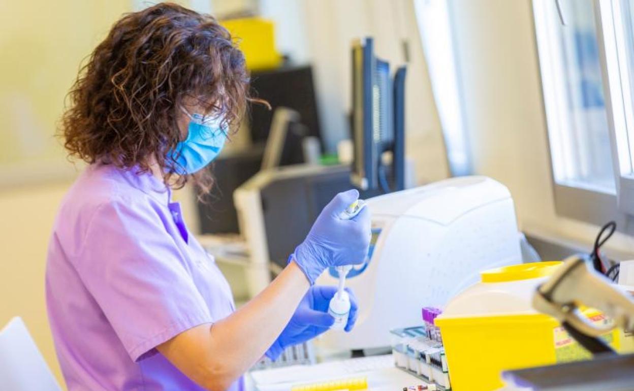 Una técnica del laboratorio del Hospital Universitario de Álava comprueba unas muestras.