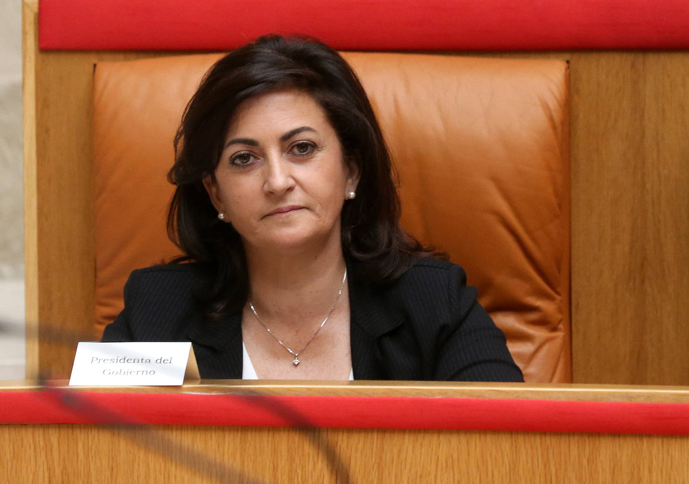 Fotos: La sesión de mayo del Parlamento riojano, en imágenes