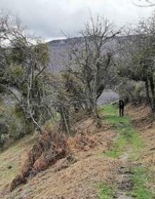 Imagen secundaria 2 - Montes que rodean Valvanera. Hospedería de Valvanera y camino etre encimas.
