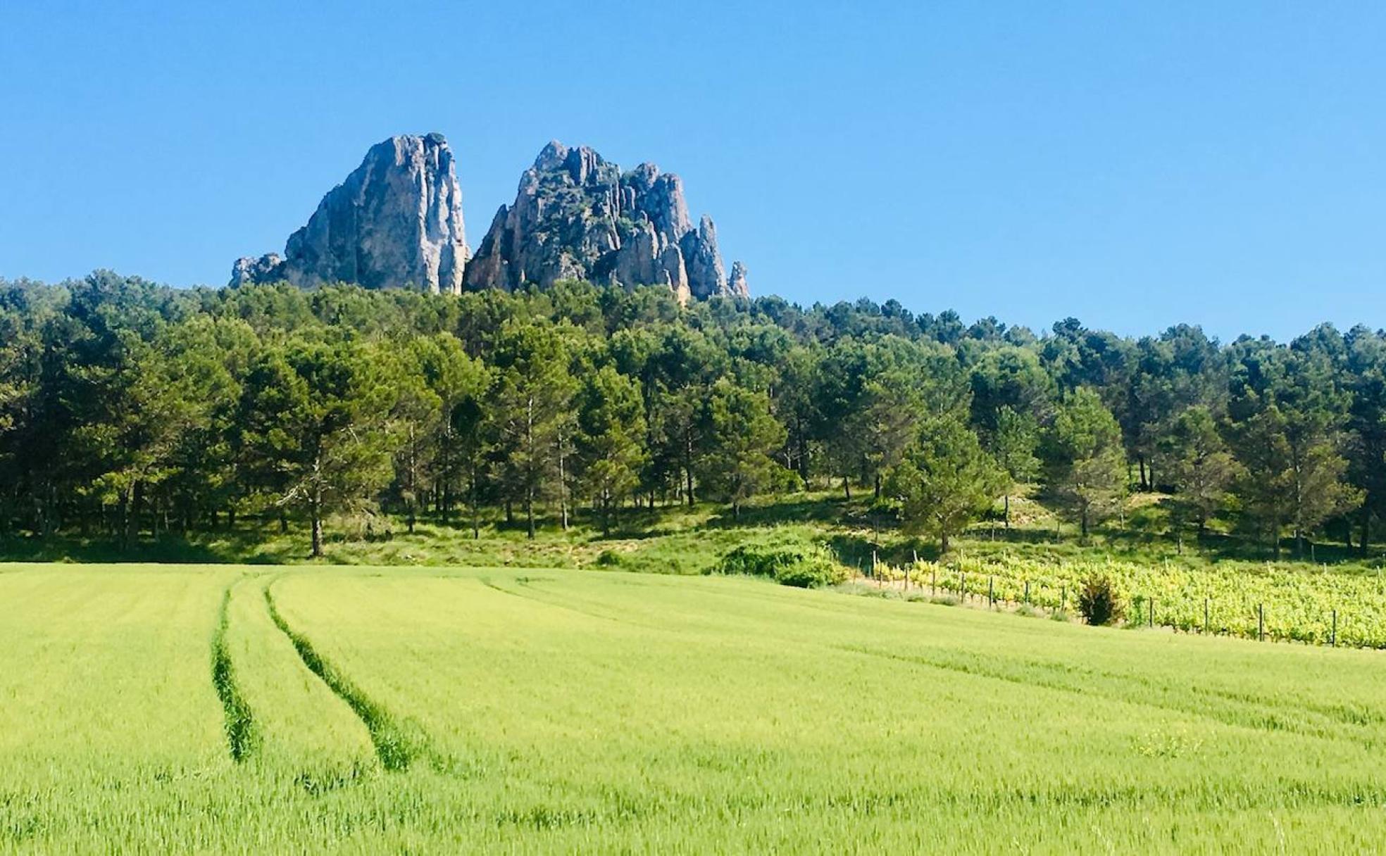 Turismo en La Rioja: Dos rutas turísticas dentro del plan 'Lo Mejor de Haro'