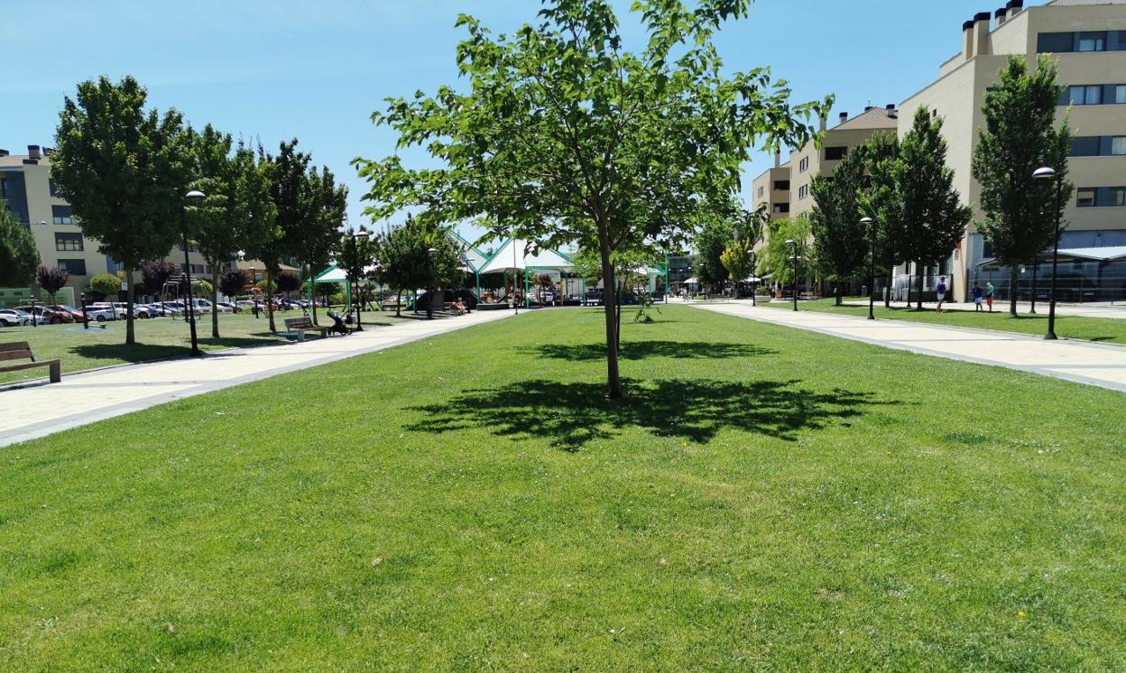 Parque Jacinto Benavente, de Haro, donde se descubrieron las garrapatas con la zona de juegos al fondo. 