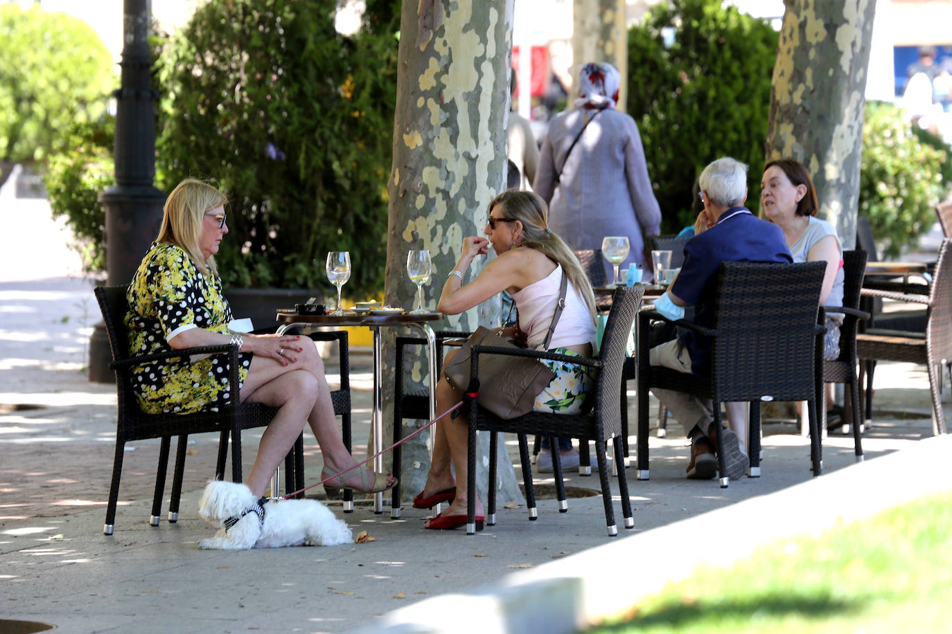 La región ha superado este martes por primera vez en el 2020 los 36 grados