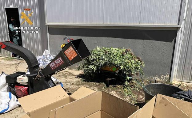 Imagen principal - Desmantelada una red que distribuía 1.800 kilos de cannabis al año en La Rioja y País Vasco