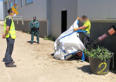 Imagen secundaria 1 - Desmantelada una red que distribuía 1.800 kilos de cannabis al año en La Rioja y País Vasco