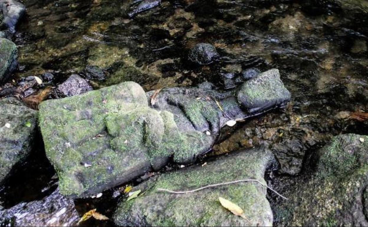 La talla de la Virgen como apareció en el río.