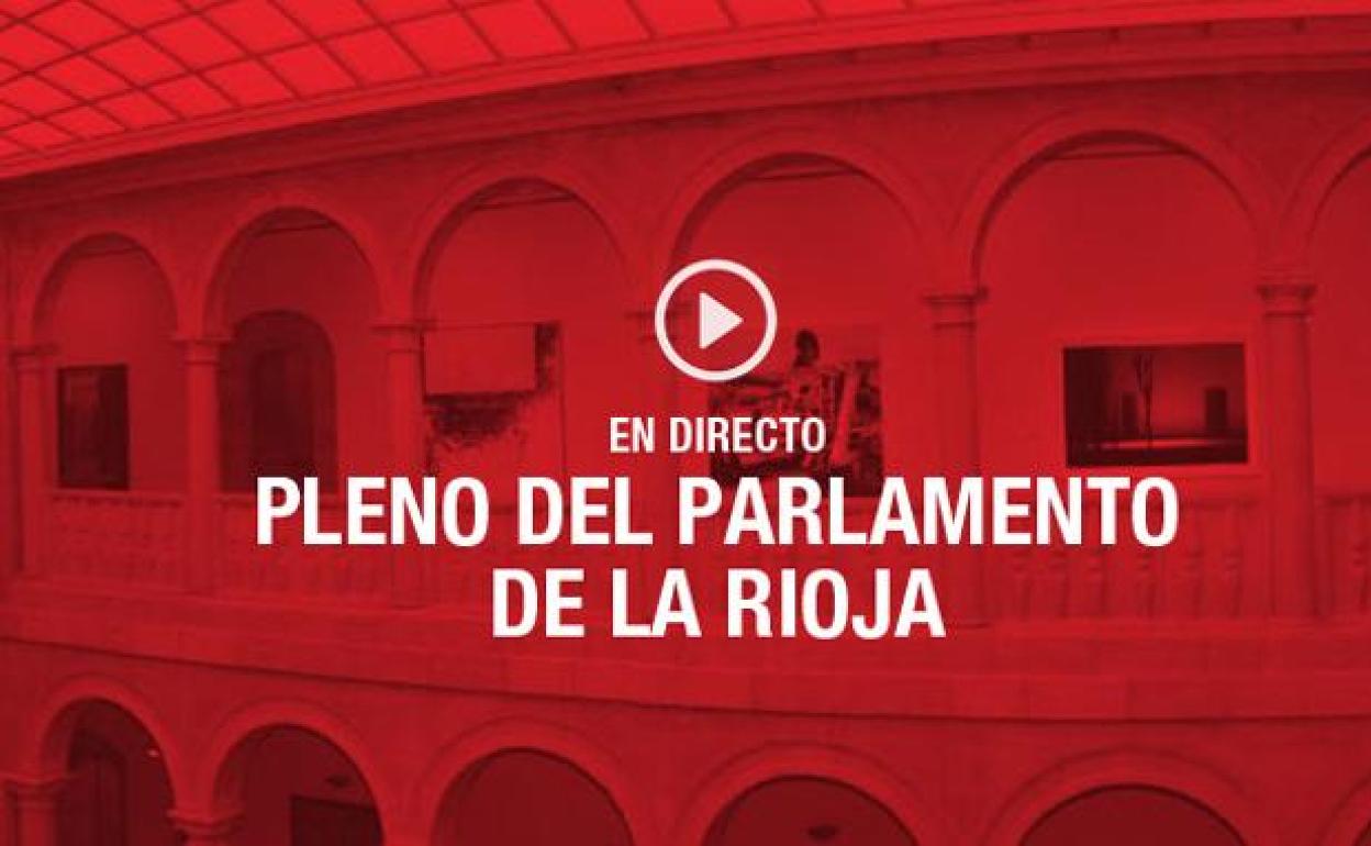 EN DIRECTO: Pleno en el Parlamento de La Rioja