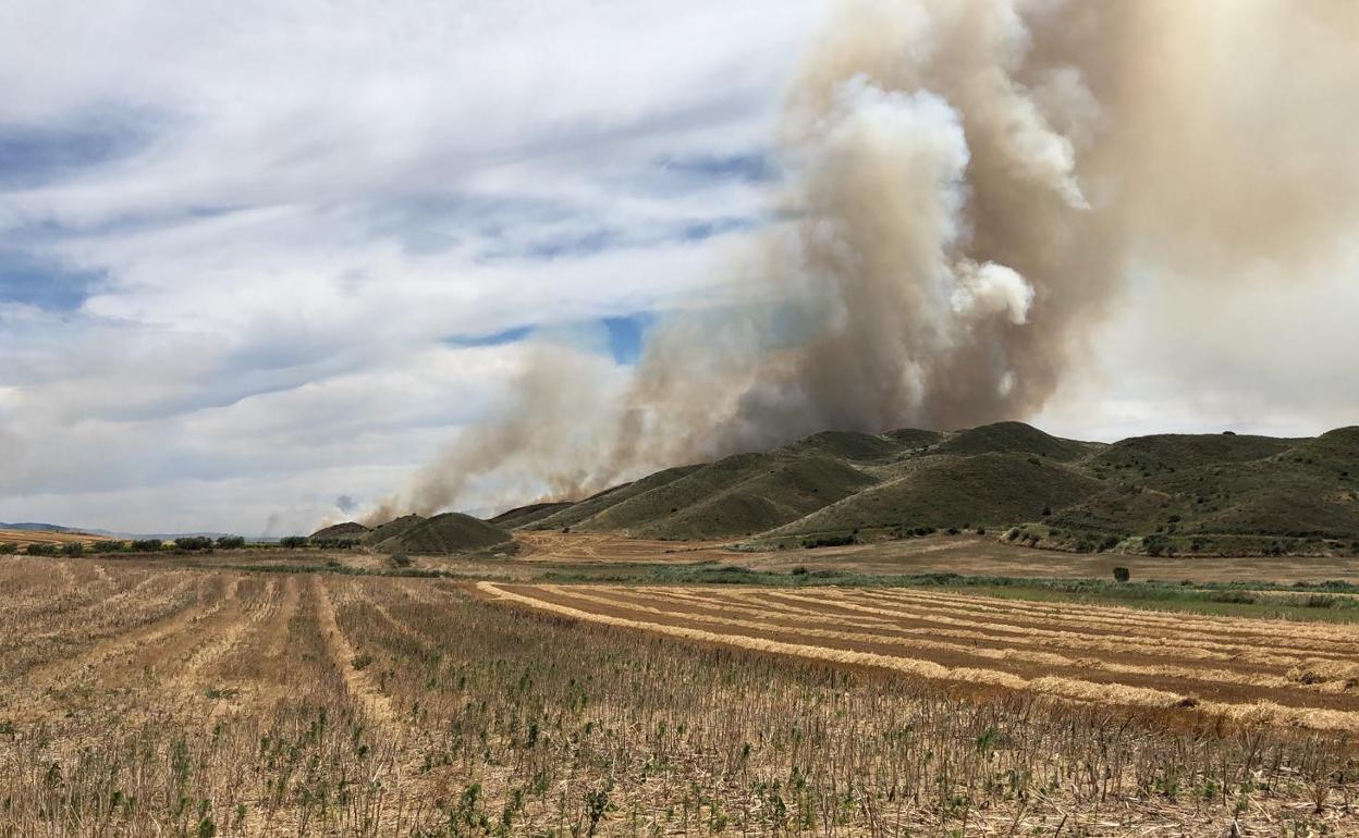 Bomberos forestales riojanos ayudan en un incendio en Los Arcos