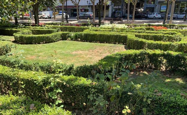 Zonas del Espolón, con calvas y sin flores.