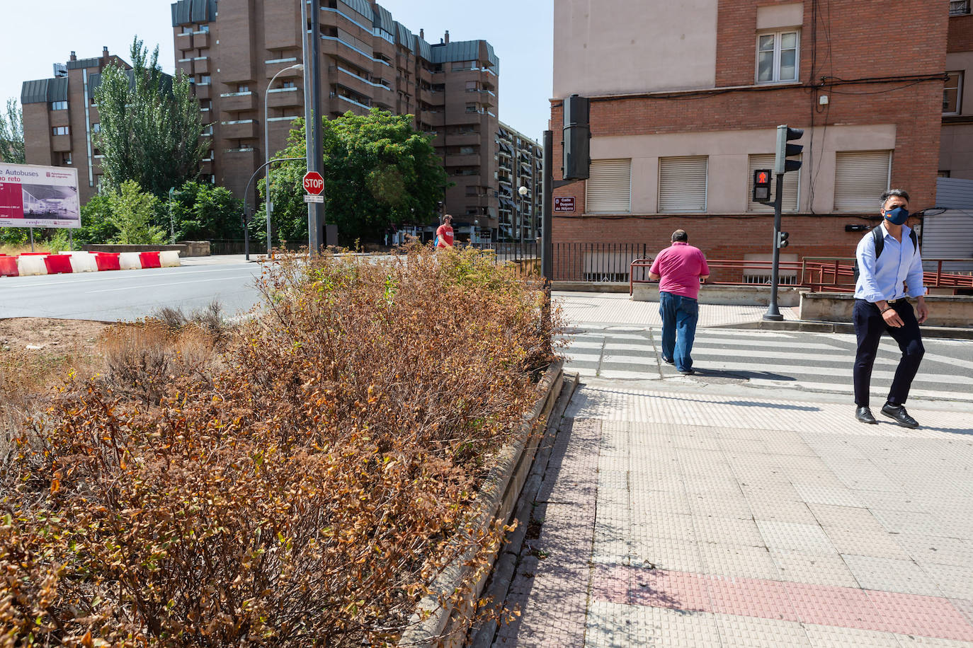 Fotos: El cuidado de los jardines de Logroño, en tela de juicio