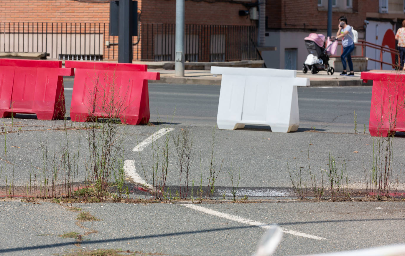 Fotos: El cuidado de los jardines de Logroño, en tela de juicio