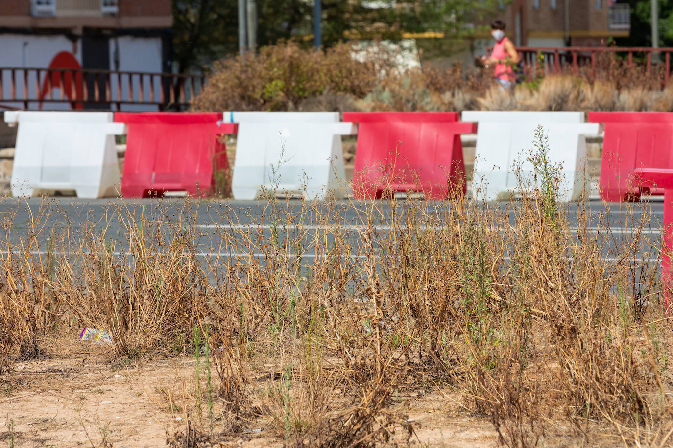 Fotos: El cuidado de los jardines de Logroño, en tela de juicio