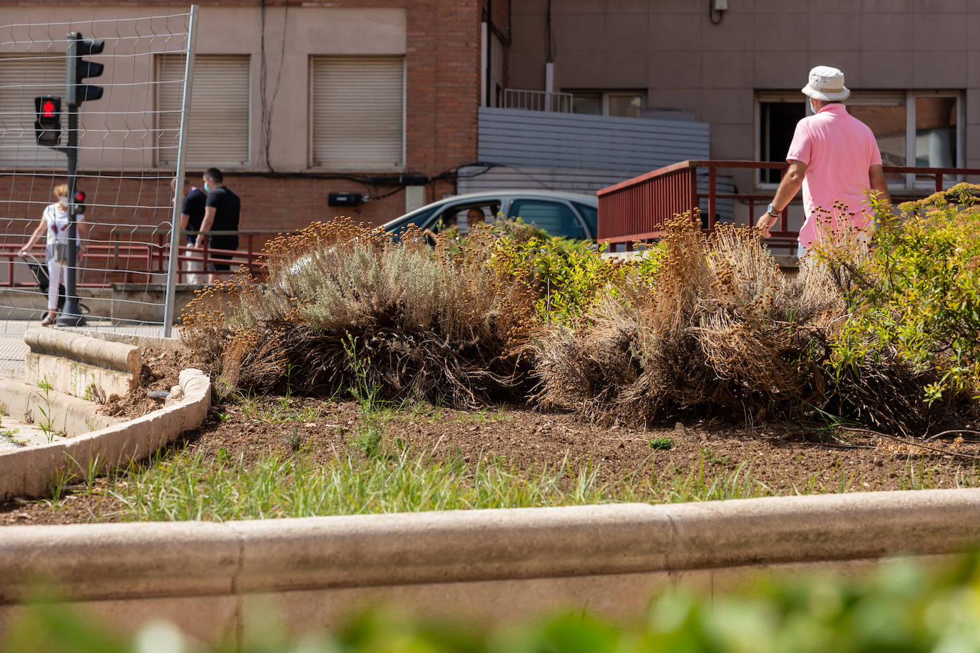 Fotos: El cuidado de los jardines de Logroño, en tela de juicio