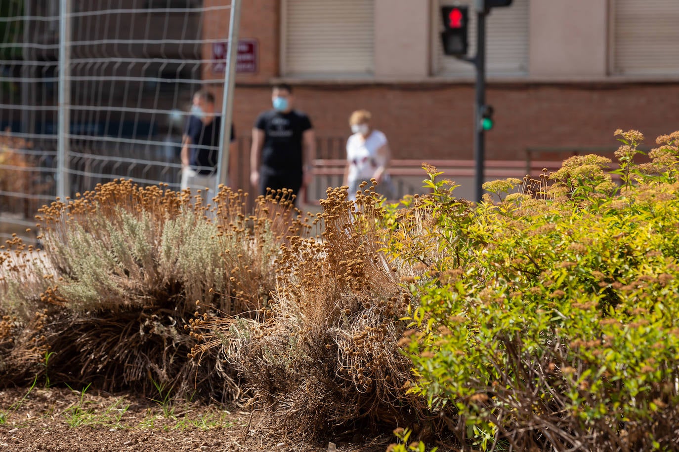 Fotos: El cuidado de los jardines de Logroño, en tela de juicio