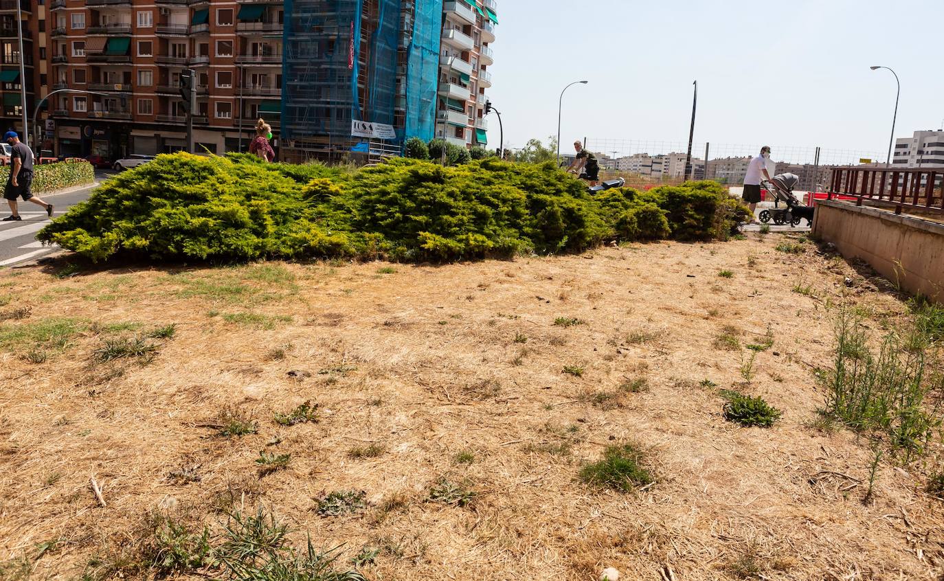 Fotos: El cuidado de los jardines de Logroño, en tela de juicio