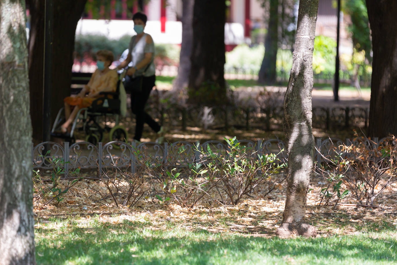 Fotos: El cuidado de los jardines de Logroño, en tela de juicio