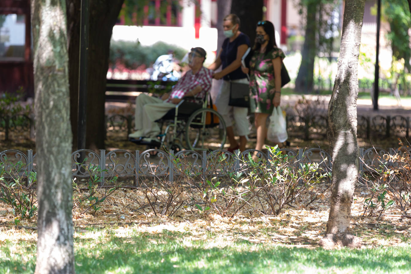 Fotos: El cuidado de los jardines de Logroño, en tela de juicio