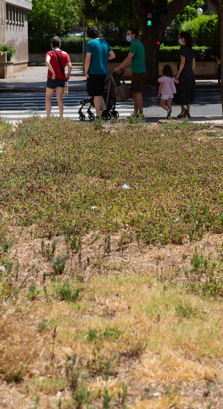 Fotos: El cuidado de los jardines de Logroño, en tela de juicio