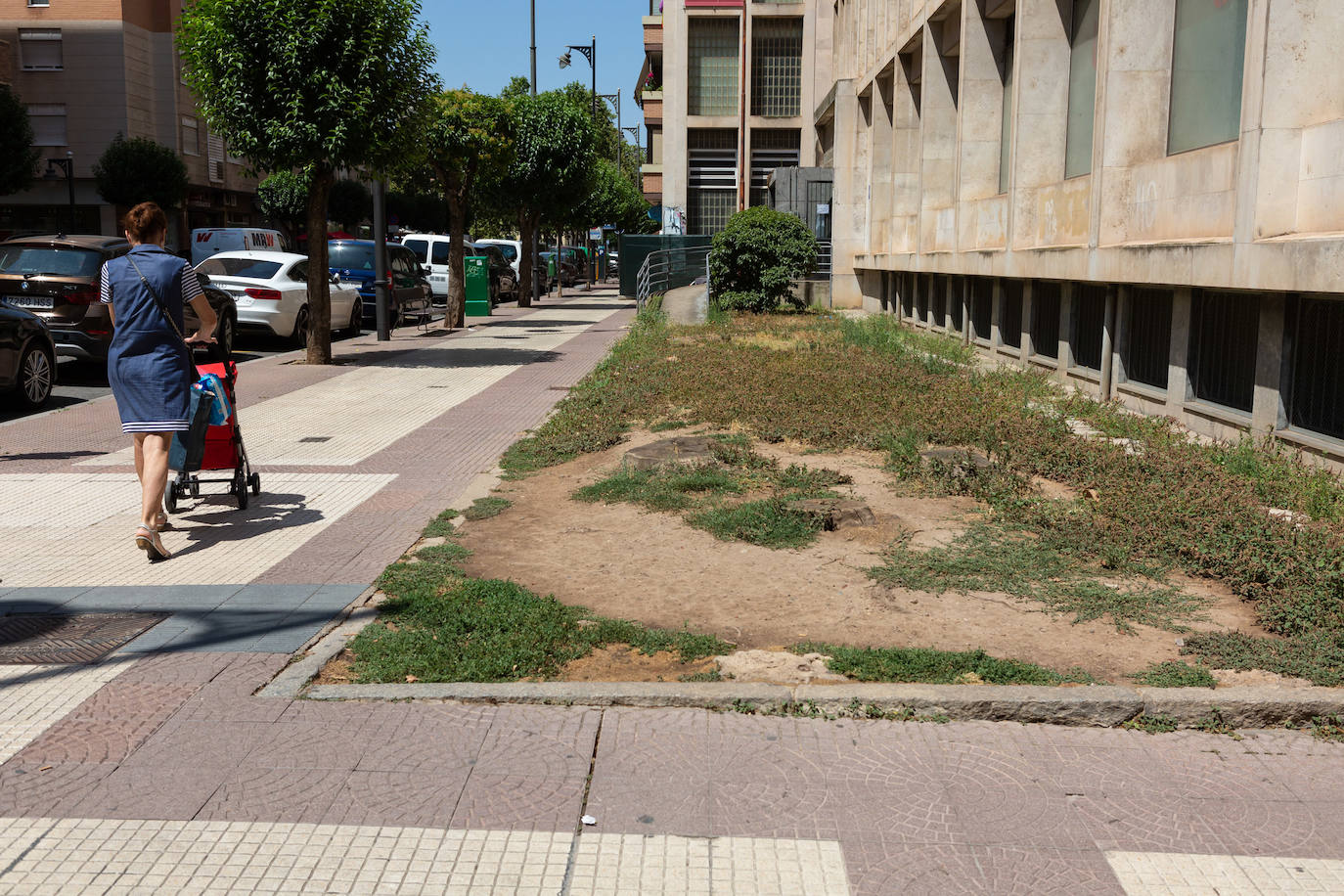 Fotos: El cuidado de los jardines de Logroño, en tela de juicio