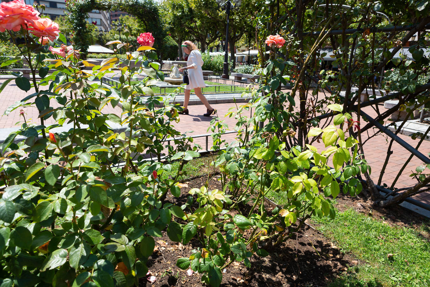 Fotos: El cuidado de los jardines de Logroño, en tela de juicio