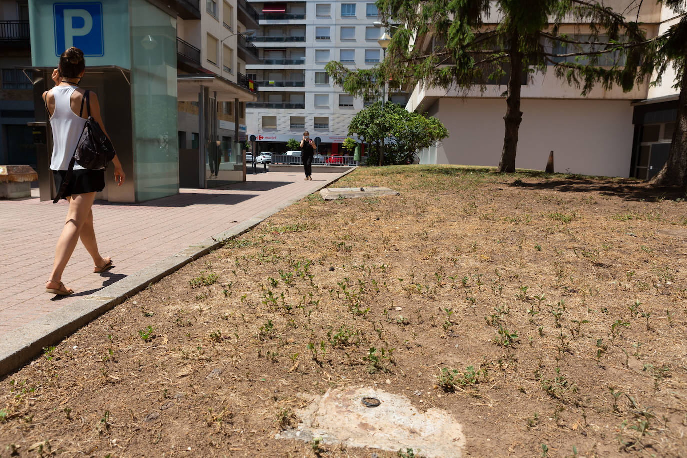 Fotos: El cuidado de los jardines de Logroño, en tela de juicio