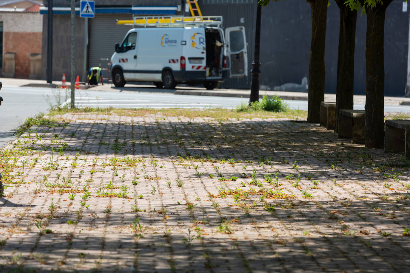 Fotos: El cuidado de los jardines de Logroño, en tela de juicio