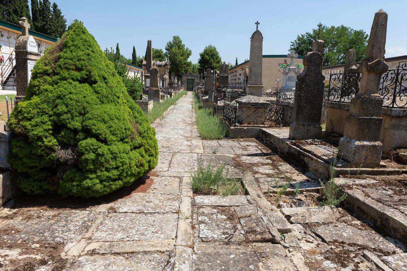 Fotos: El cuidado de los jardines de Logroño, en tela de juicio