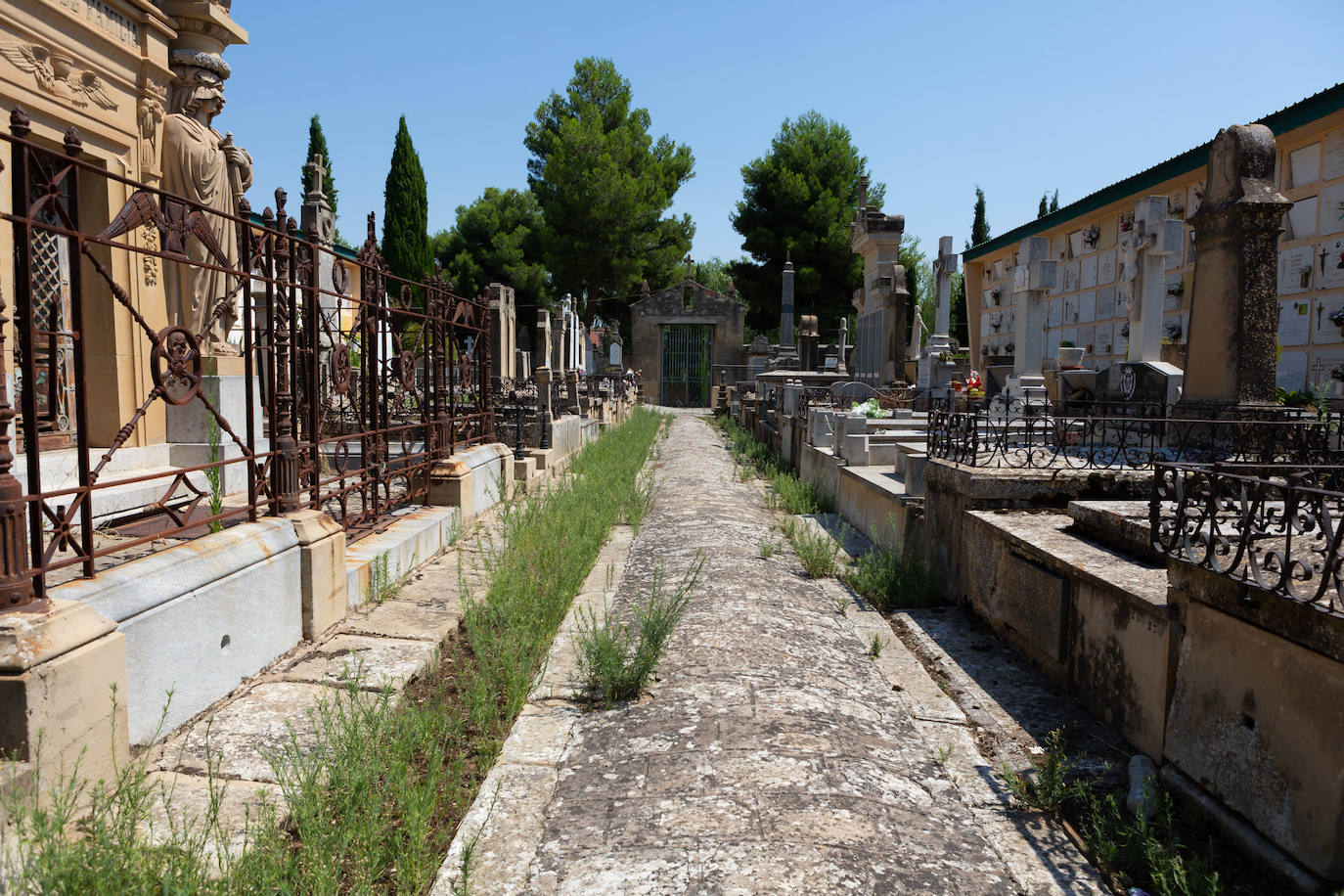 Fotos: El cuidado de los jardines de Logroño, en tela de juicio