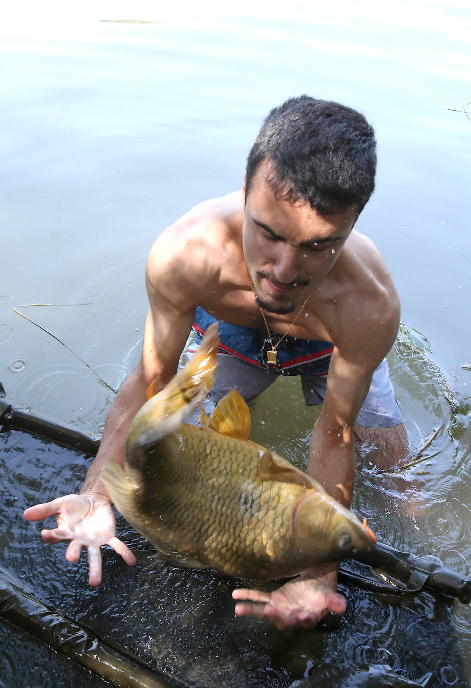 Pesca en el Ebro