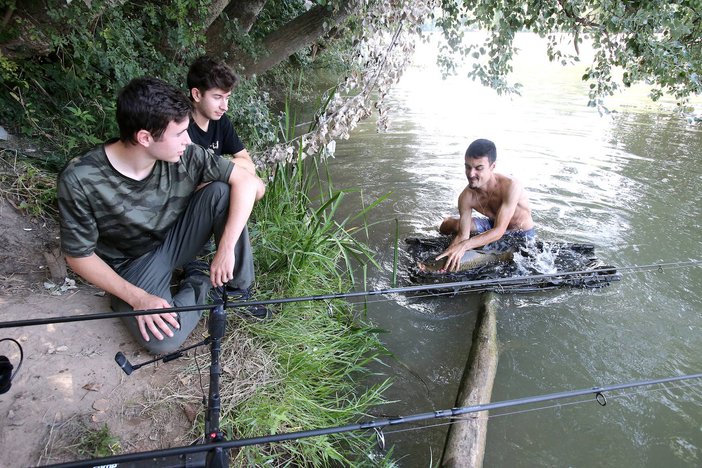 Pesca en el Ebro