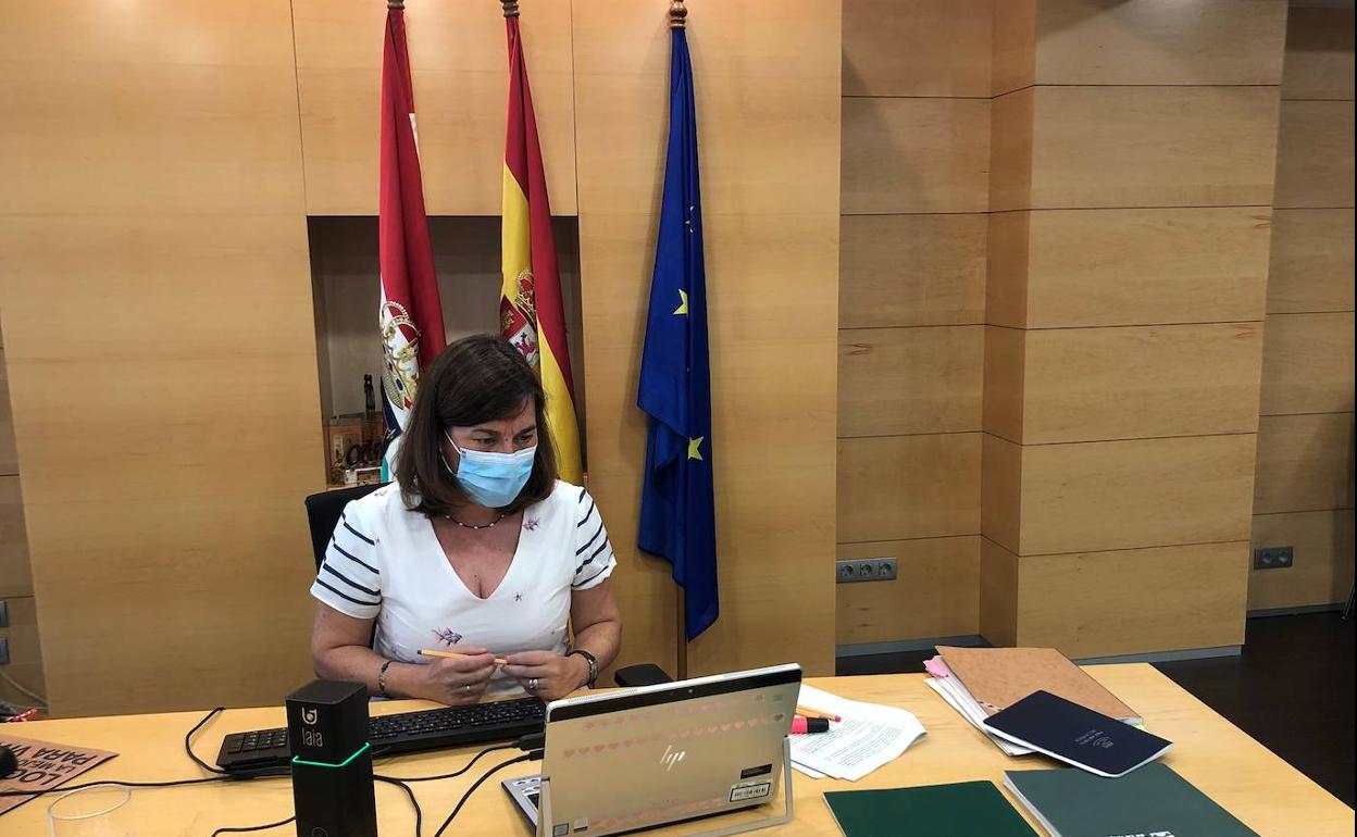 La consejera Sara Alba, ayer durante el encuentro telemático.