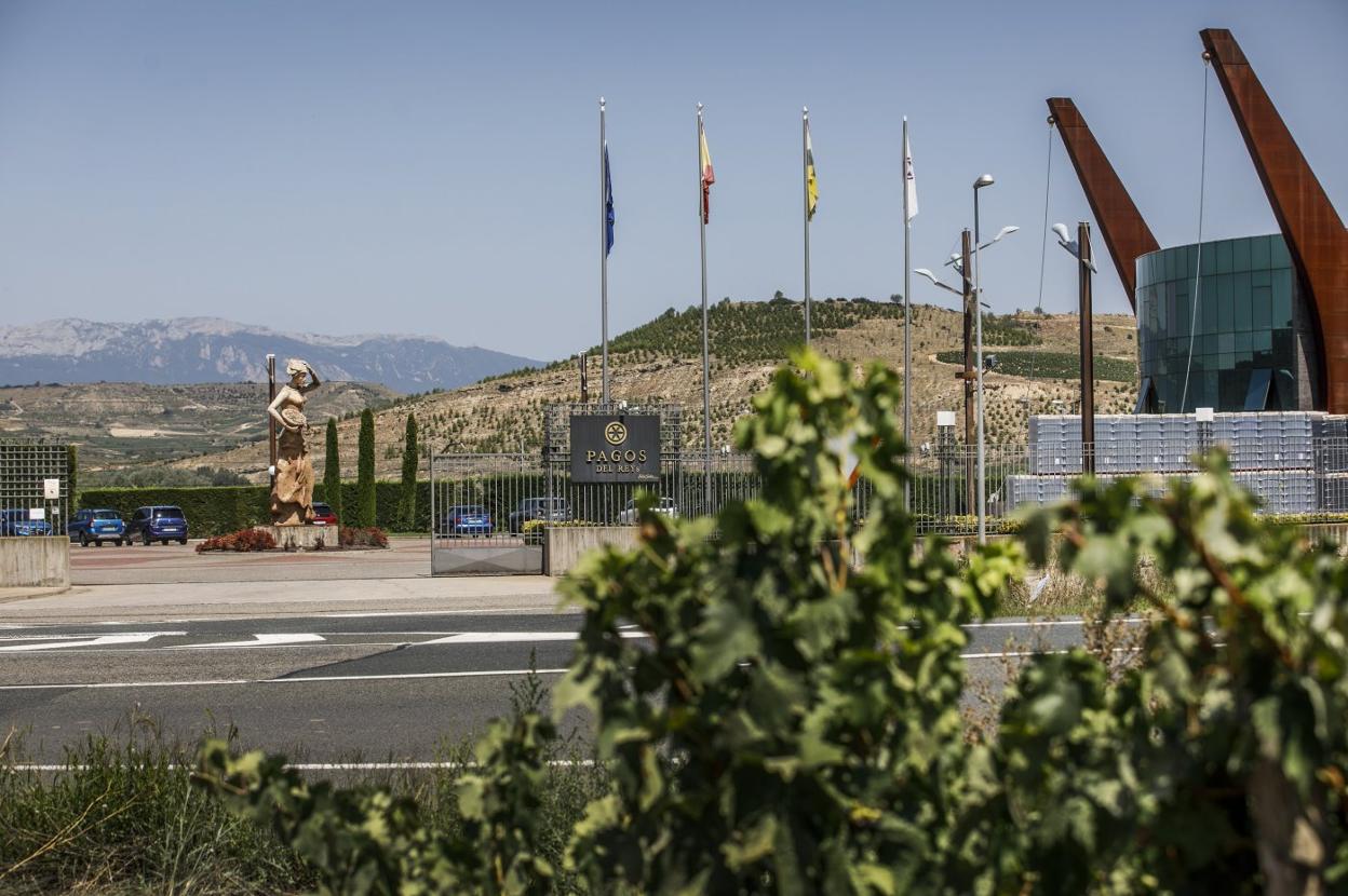 Acceso a la bodega Pagos del Rey, en el pago de Buicio, en Fuenmayor. 