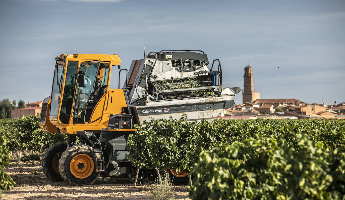 El coronavirus marca la campaña de este año en Rioja