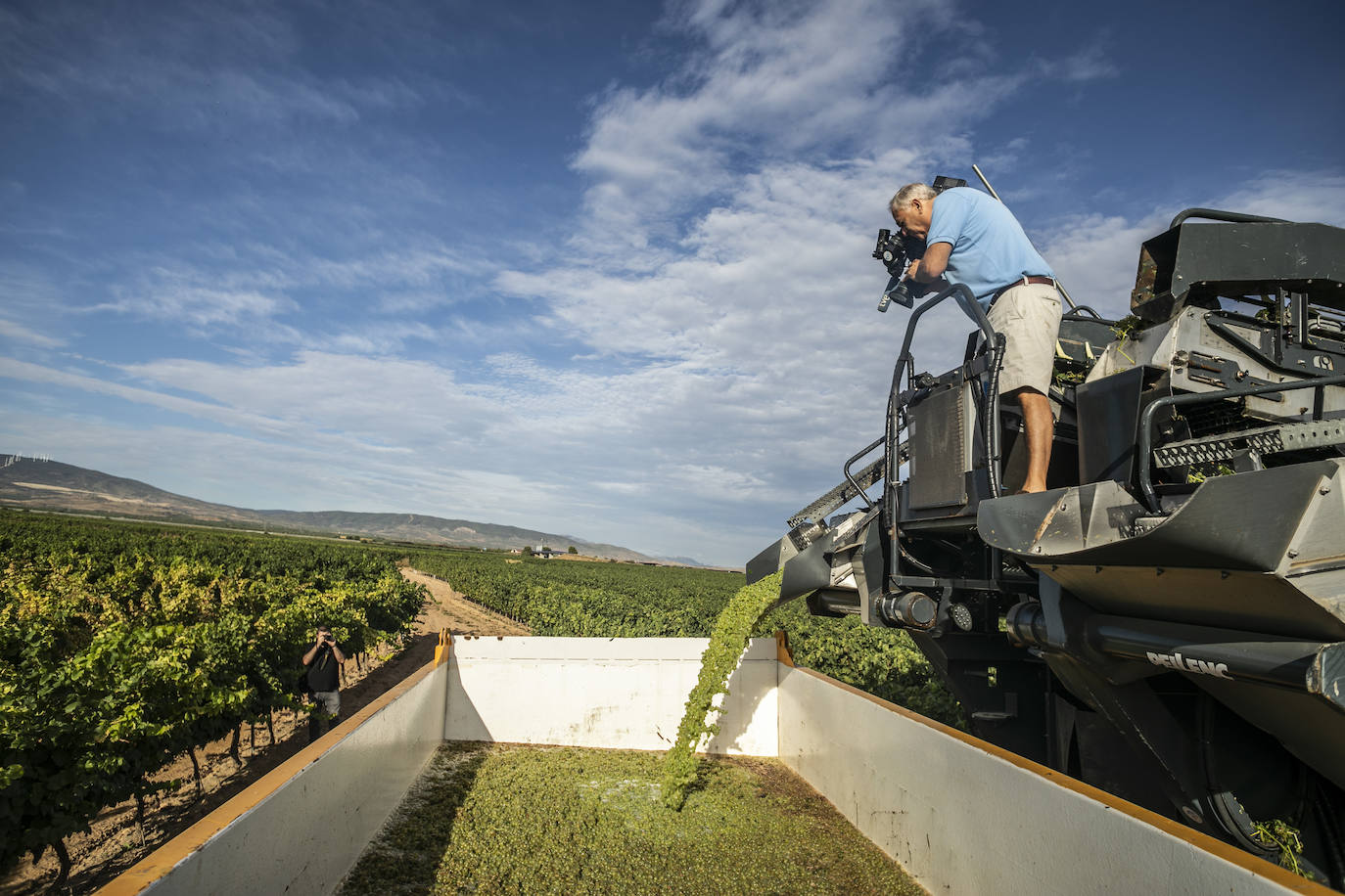 El coronavirus marca la campaña de este año en Rioja