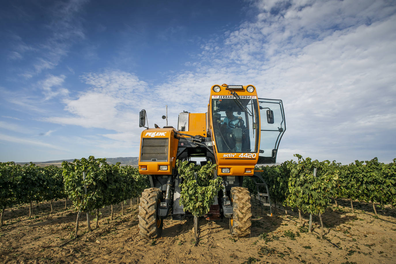 El coronavirus marca la campaña de este año en Rioja