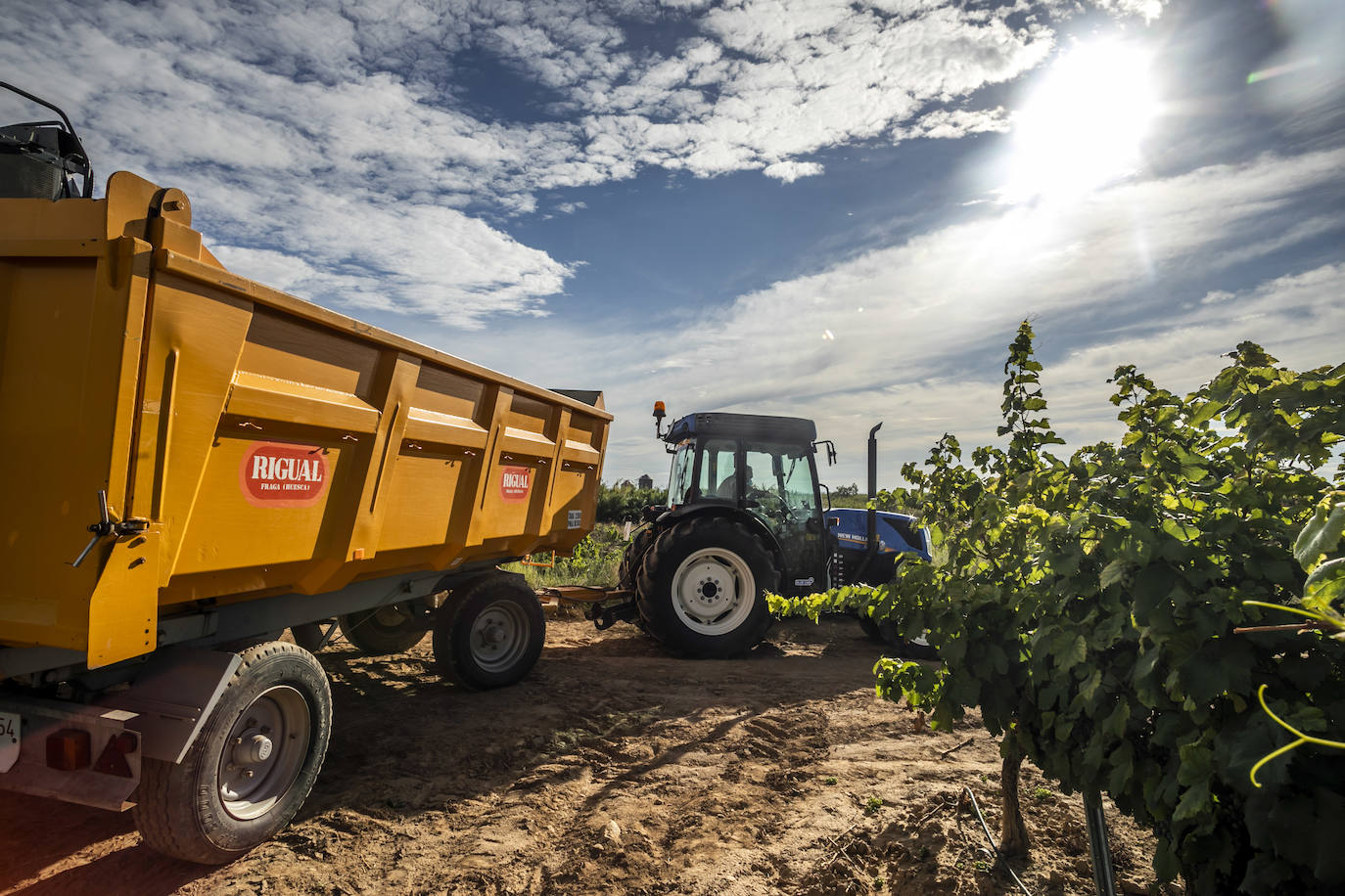 El coronavirus marca la campaña de este año en Rioja