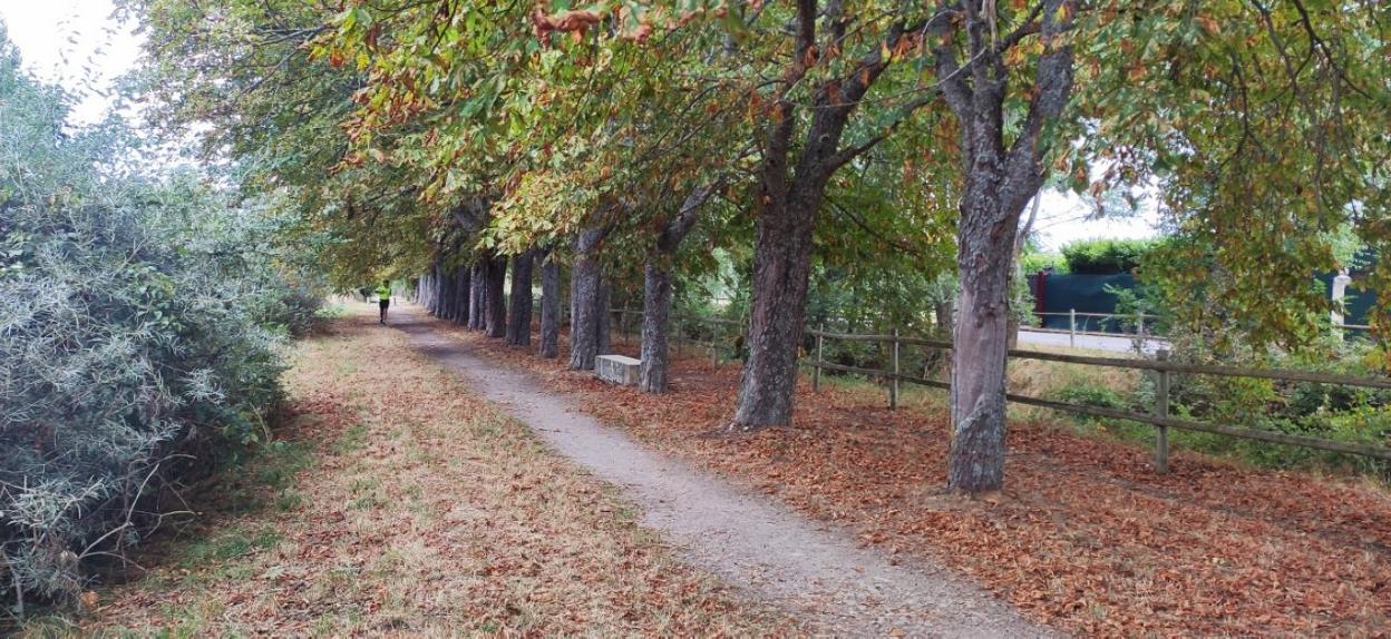 En Santo Domingo ya parece 'otoño'