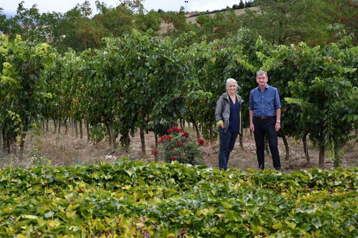Carmen Enciso y Luis Valentín, en los viñedos de la Compañía Bodeguera Valenciso. 