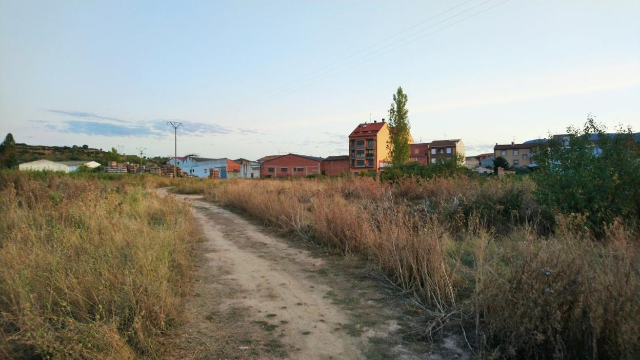 Camino Chorrón de Entrena, donde los vecinos se quejan de la aparición de animales muertos. 