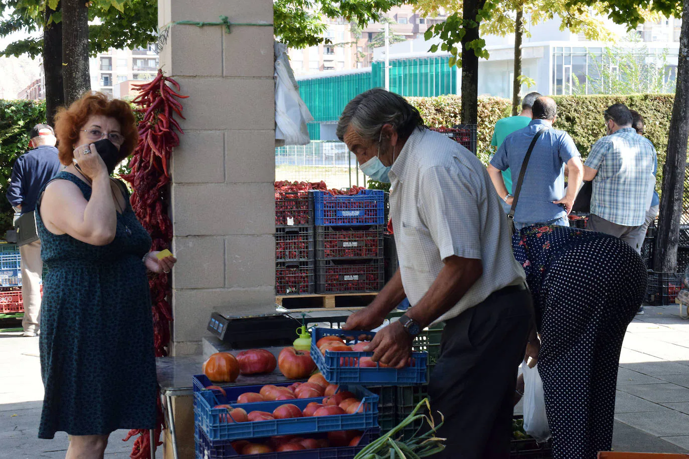 La plaza Joaquín Elizalde acoge este tradicional mercado que pide su particular SOS