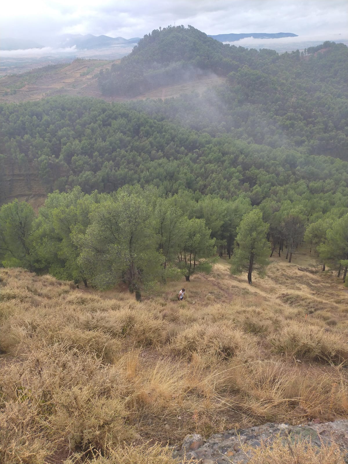 La carrera de montaña se ha celebrado durante el mediodía de este sábado