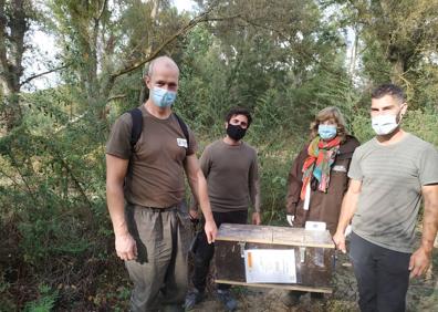 Imagen secundaria 1 - Liberados tres visones europeos en la desembocadura del río Najerilla
