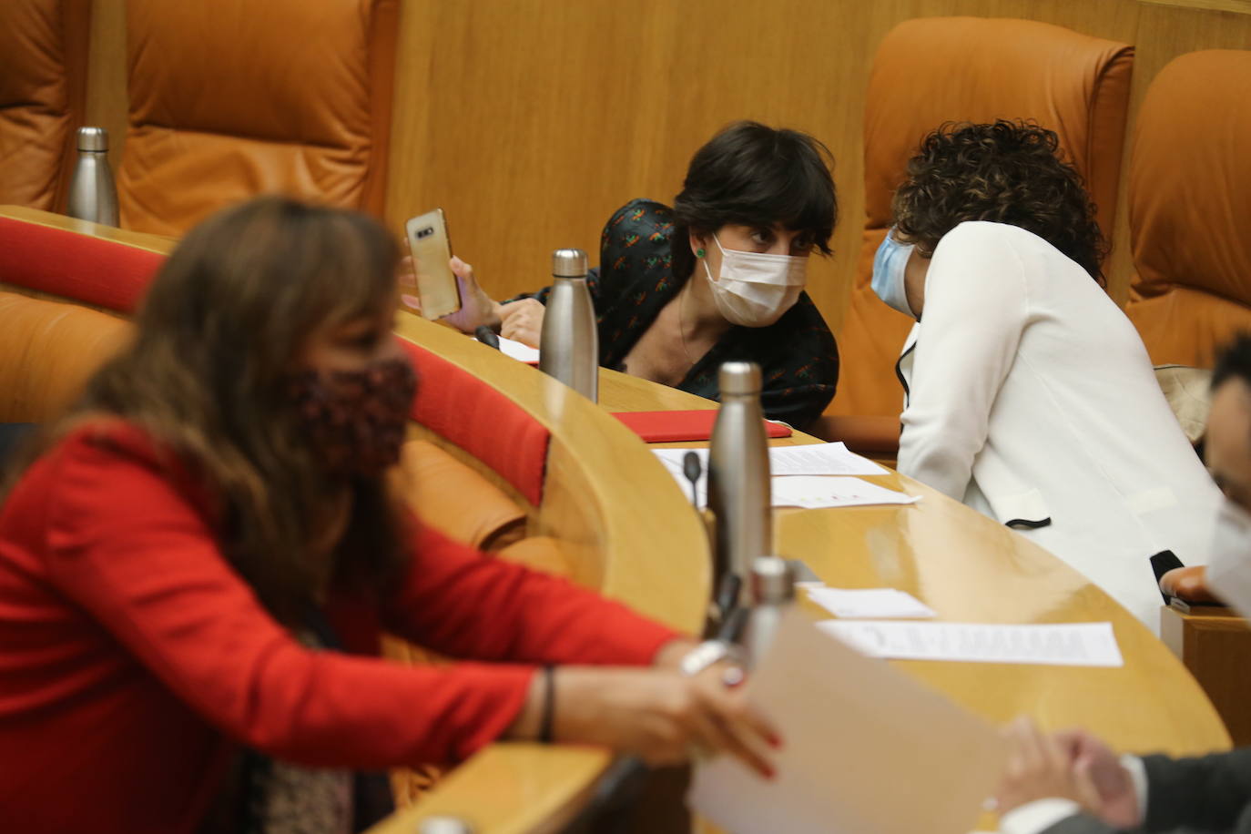 Celebración del pleno de septiembre en el Parlamento riojano.