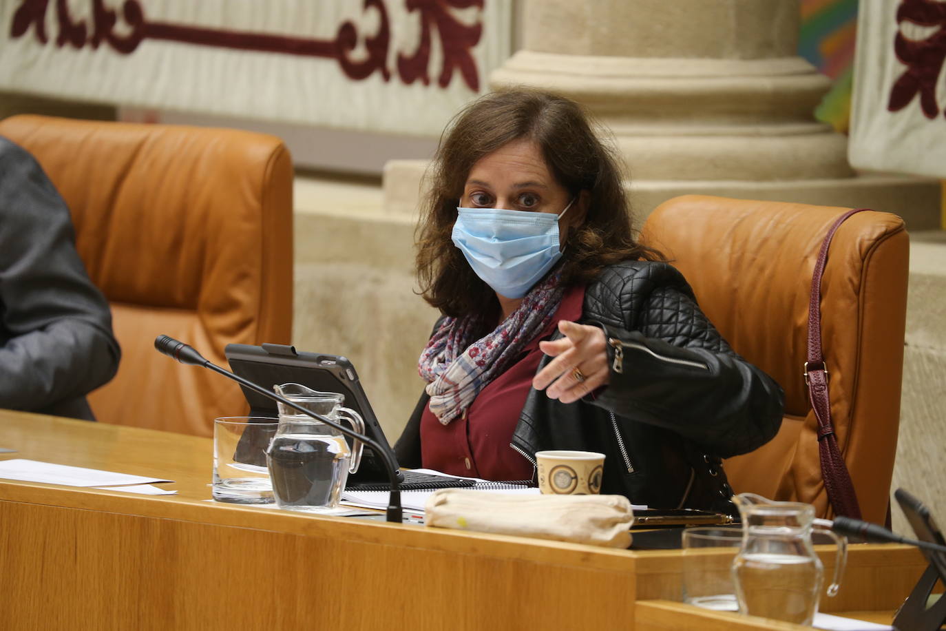 Celebración del pleno de septiembre en el Parlamento riojano.