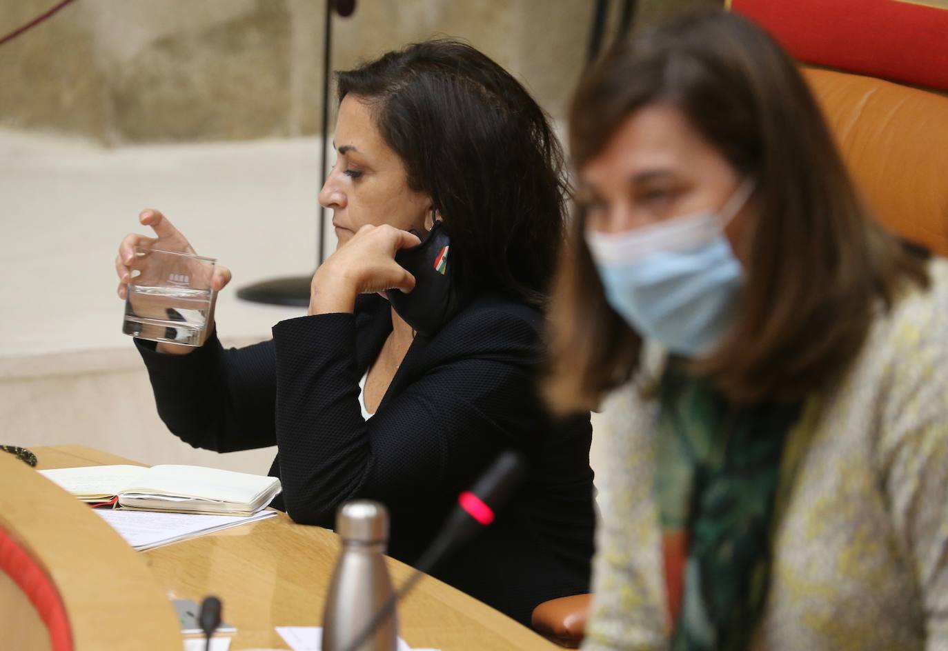 Celebración del pleno de septiembre en el Parlamento riojano.