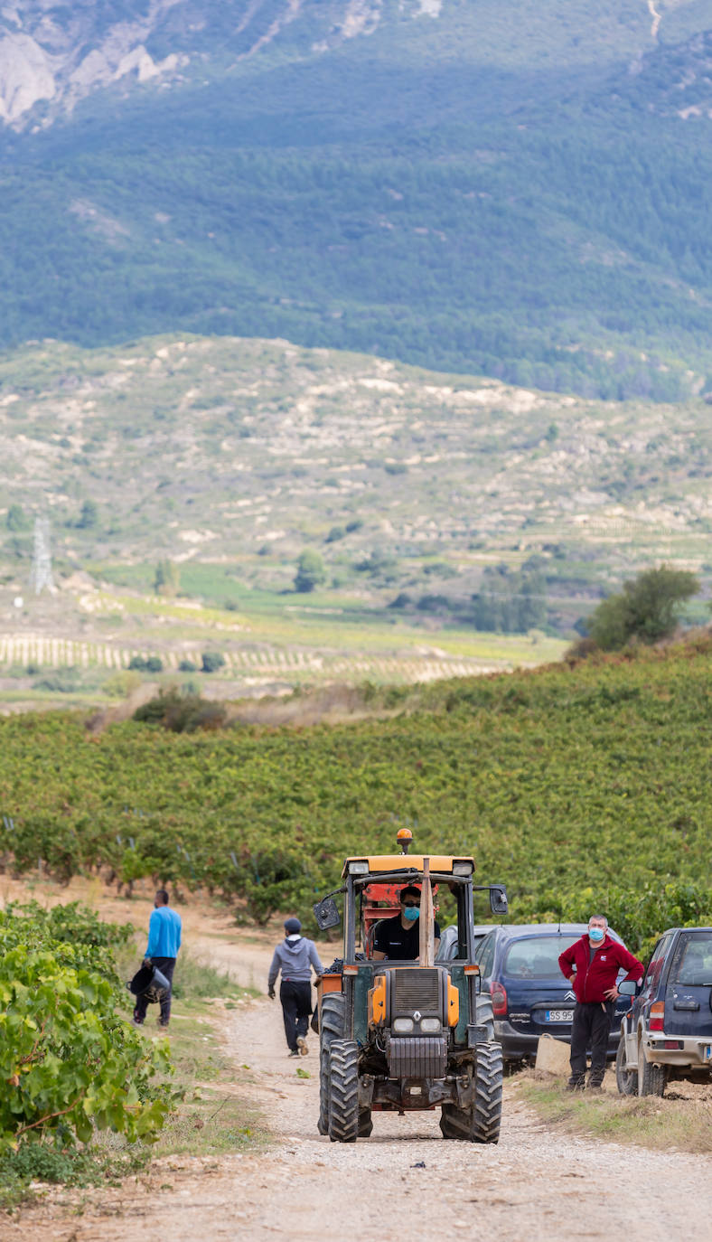 El COVID-19 ha obligado a extremar las medidas de precaución para evitar contagios