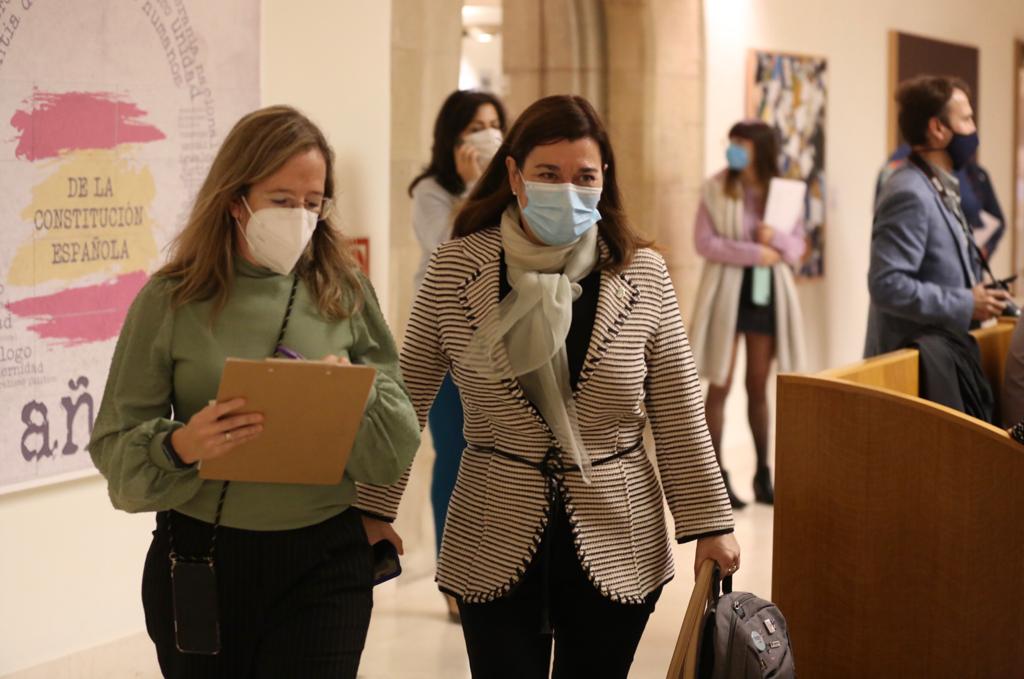 Sara Alba, a su entrada al Parlamento