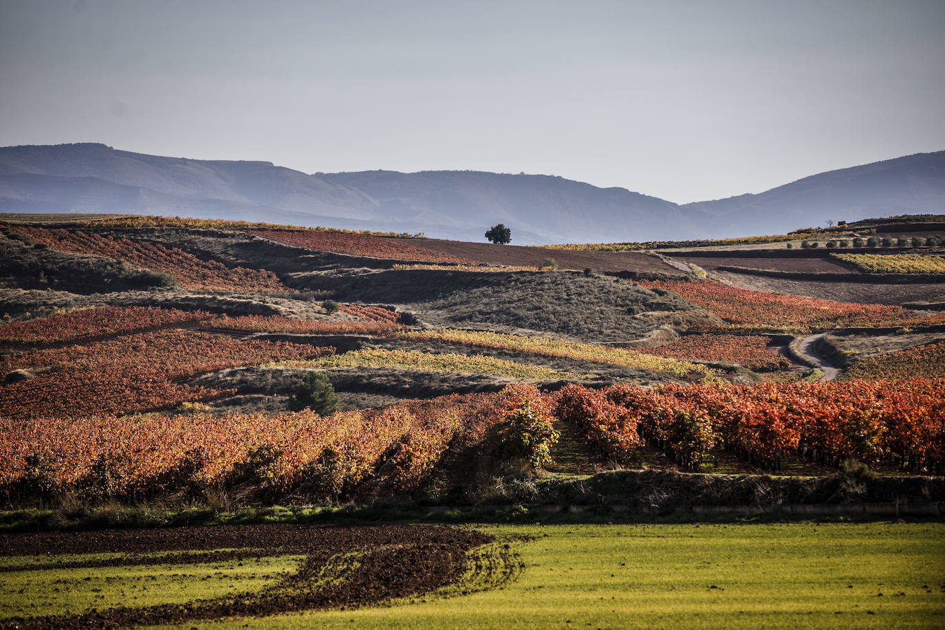 La naturaleza ofrece unos paisajes de ensueño en esta época del año